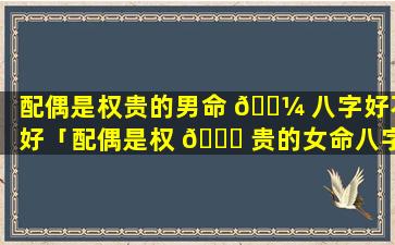 配偶是权贵的男命 🐼 八字好不好「配偶是权 🐟 贵的女命八字案例」